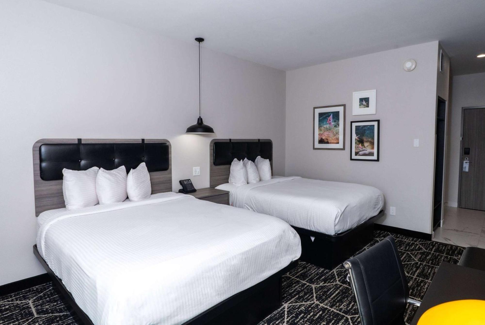 La Quinta Inn & Suites By Wyndham Corpus Christi Southeast Eksteriør billede